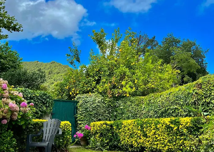 Agradable Casa Con Jacuzzi Climatizado Exterior En Pleno Urdaibai Busturia